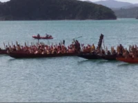 Waikare Cove 