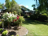 Mokoia Downs B&B 