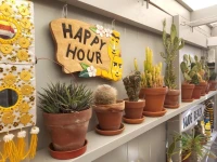 Rotorua City Homestay 
