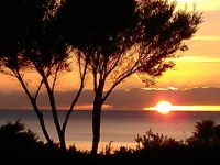 Great Visionz Homestay 