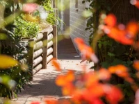 Te Moenga Lodge 