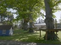 Te Aroha Holiday Park and Motels 