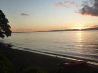 Pohutukawa Coast BnB 