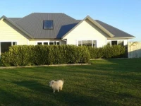 Devine Bed and Breakfast 