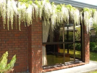 Havenlee Homestay 