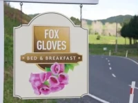 Foxgloves Bed and Breakfast 