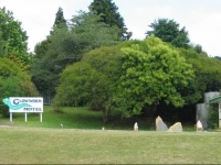 Glow Worm Motel 