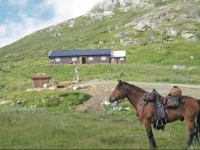 Holiday home Г…l BergsjГёstГёlen 