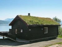 Three-Bedroom Holiday home in Hamnvik 1 