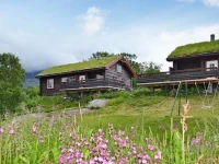 Three-Bedroom Holiday home in Hamnvik 2 