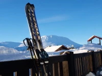 Den Lykkelige Sportsmann 
