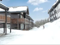 Three-Bedroom Apartment Geilo with a Fireplace 08 