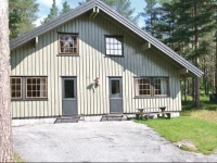 Apartment Gol Hemsedalsvegen V 