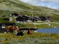 SmuksjГёseter Fjellstue 