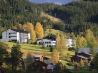 Morgedal Hotel 