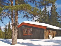 Holiday home Nesbyen Buhovd 