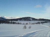 Djuvland Fjellgard 