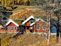 Five-Bedroom Holiday home in Rauland 