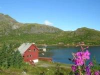 Four-Bedroom Holiday home in Ramberg 1 