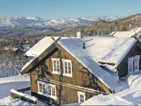 Holiday home Rauland Holtardalen 