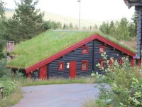Three-Bedroom Holiday home in Trysil 