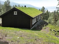 Five-Bedroom Holiday home in Tynset 