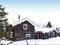 Holiday home Tynset Savalen Hestesenter 