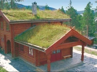Holiday home Tynset Savalen IV 