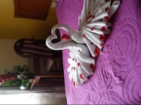 Hotel Souvenirs 