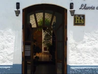 Lluvia de Oro 