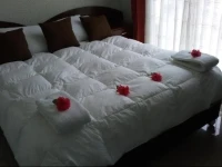 Hotel Presidencial 