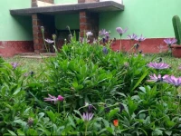 Santa MarГ­a Hospedaje El Carmen Chincha 