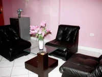 Hotel Grau Ica 