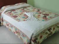 Allison Hotel S.A.C. 
