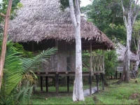 Abundancia Amazon Eco Lodge 