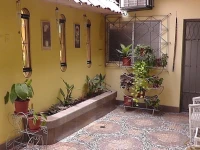 Exclusive Amazon House 