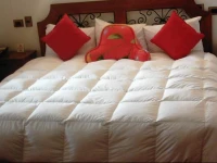 Hotel Royal Inka I 