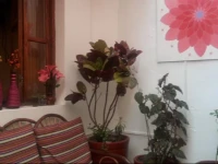 Casa Imperial Inn 