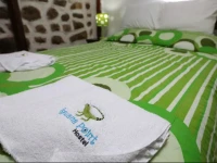 Iguana Point Hostels 