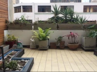 Apartamento Tarata 