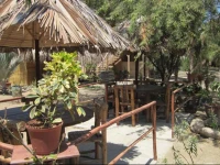 Guacamayo Bed & Breakfast 