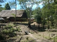 Amazon Queen Lodge 