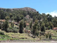 Tika Wasi 