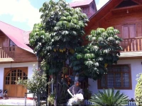 Albergue TurГ­stico BГ¶ttger 