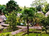 Amazon Rainforest Lodge 