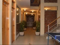 Los PingГјinos Hostel 