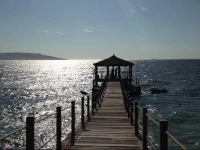 Paracas Beach Vacation Rentals 