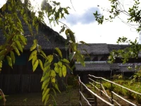 Amazon Exploring Expedition - Eretzen TГЎ Lodge 
