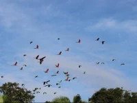 Monte Amazonico Lodge 