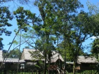Jacamar Lodge Expeditions 